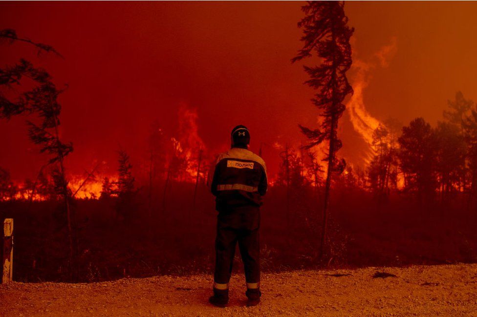 Environmental change: ‘Faltering’ pace of worldwide tree misfortunes from flames